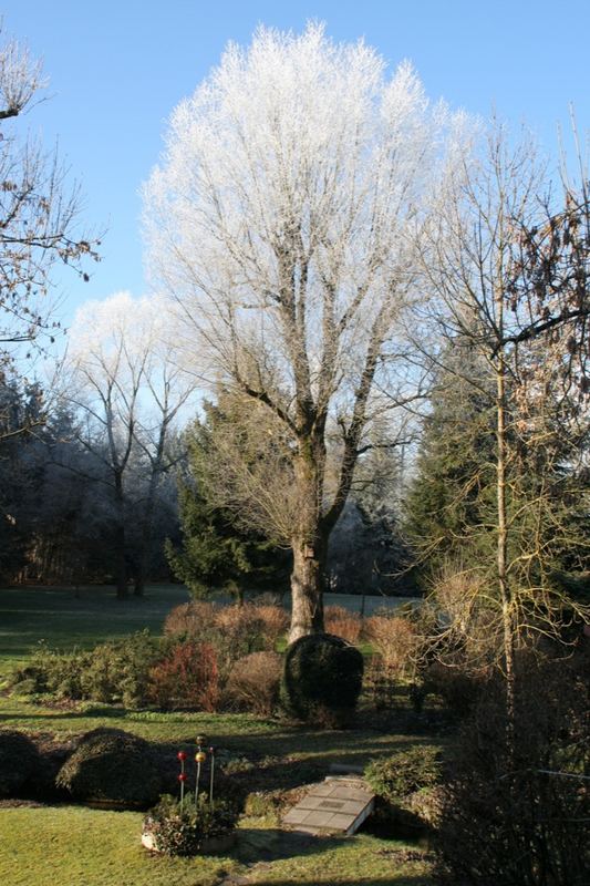 Winter nur in Höhenlagen