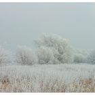 Winter ! - oder: ...alle Farben in Weiß...