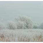 Winter ! - oder: ...alle Farben in Weiß...