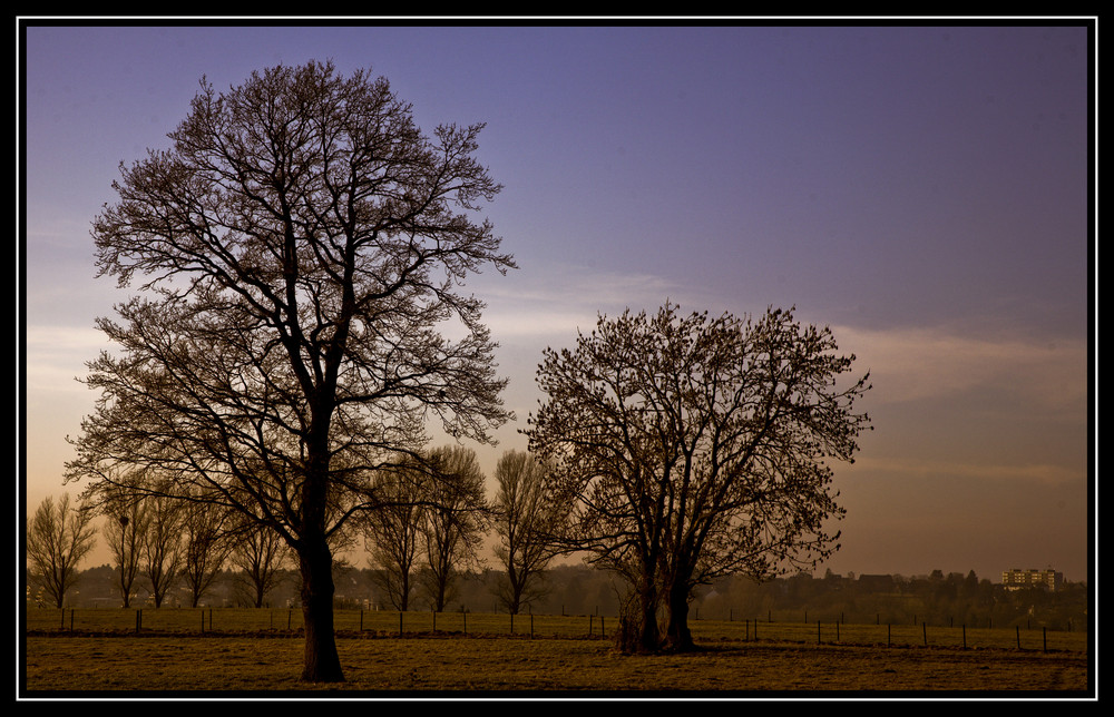 Winter oder auch nicht