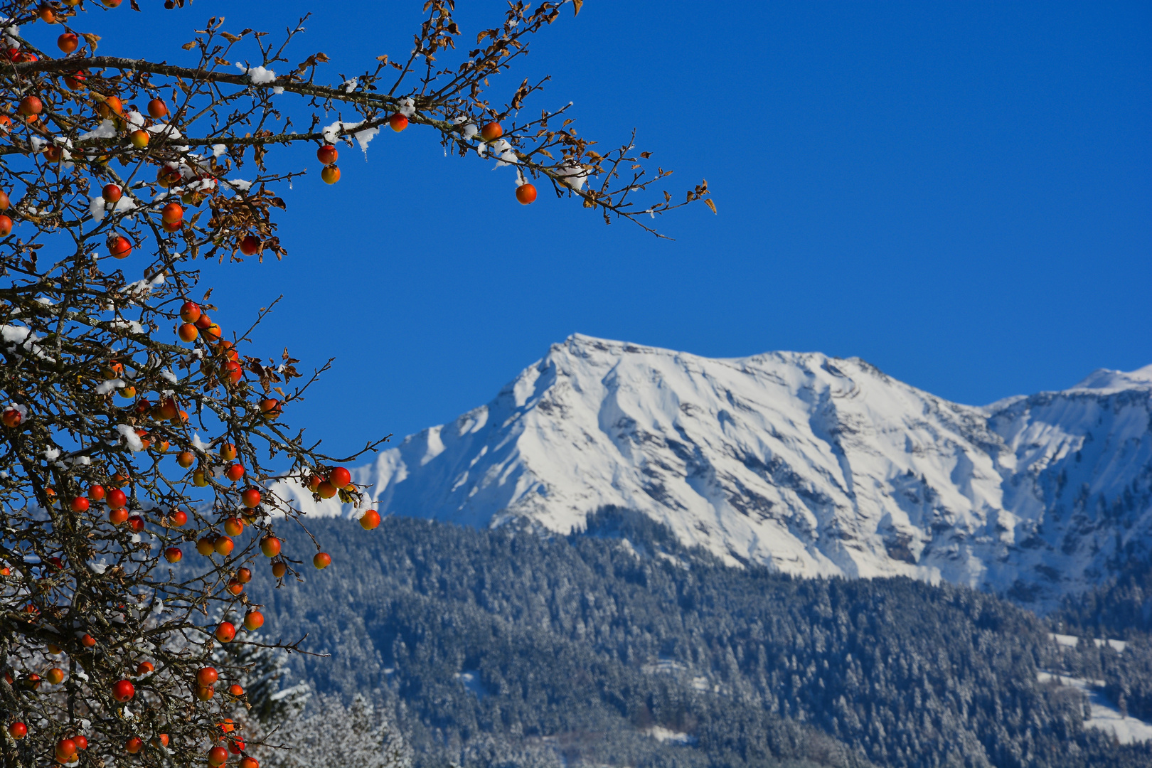 Winter oder doch noch Sommer?