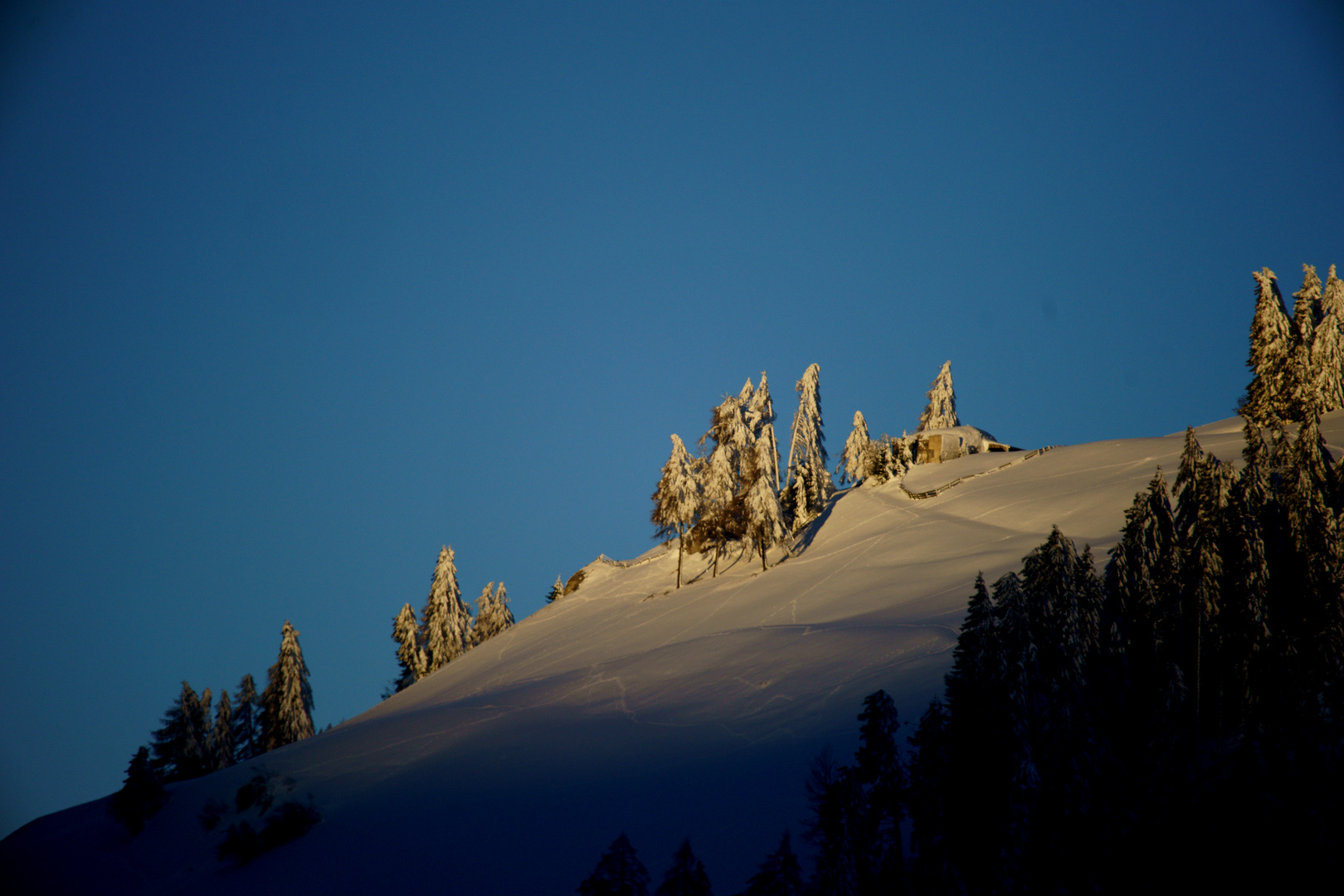 Winter oder Frü...