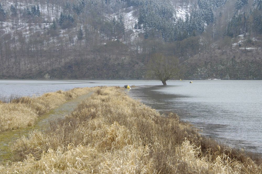 Winter oder Frühling am See