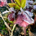 Winter oder Frühling