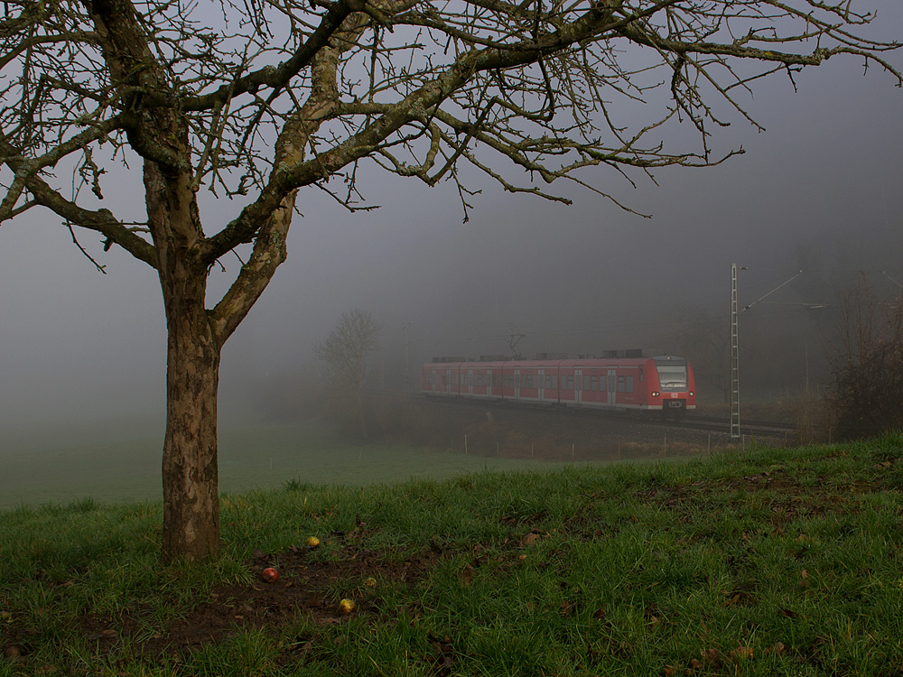 Winter? oder "nur" ein langer Herbst?