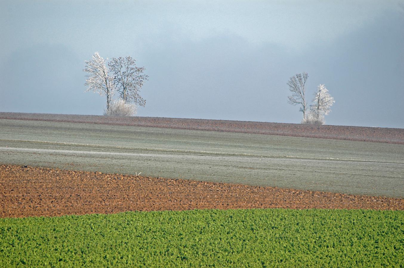 Winter ohne Schnee