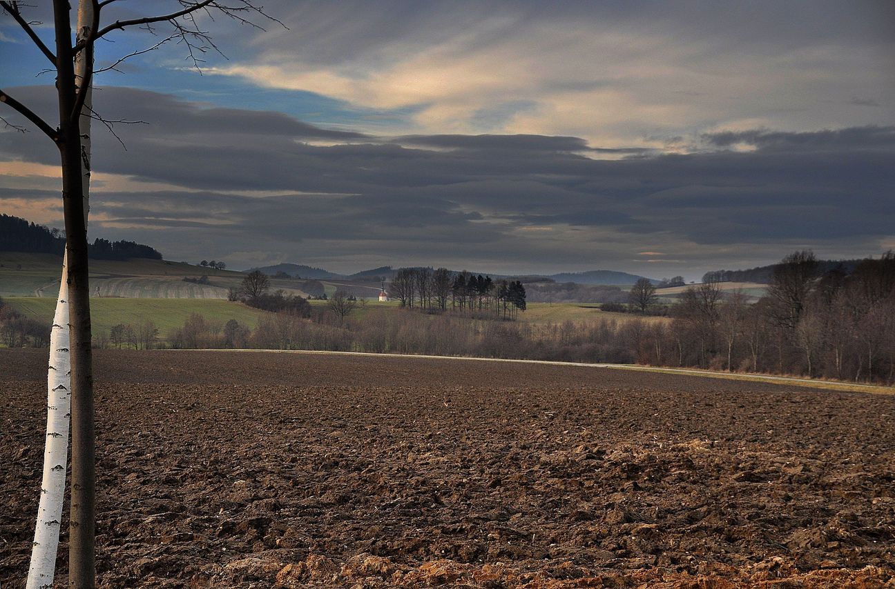 Winter ohne Schnee