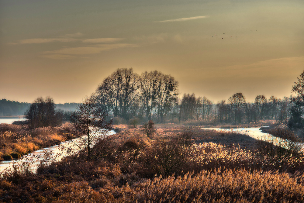 Winter ohne Schnee