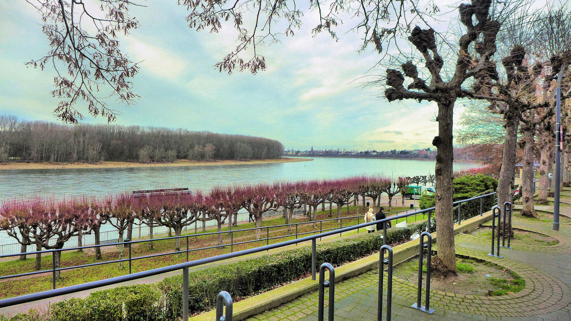 Winter ohne Schnee am Rhein