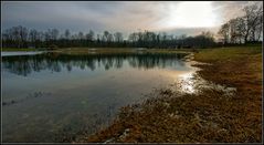 Winter ohne Schnee am See