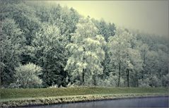 Winter ohne Schnee