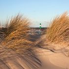 Winter ohne Schnee in Warnemünde