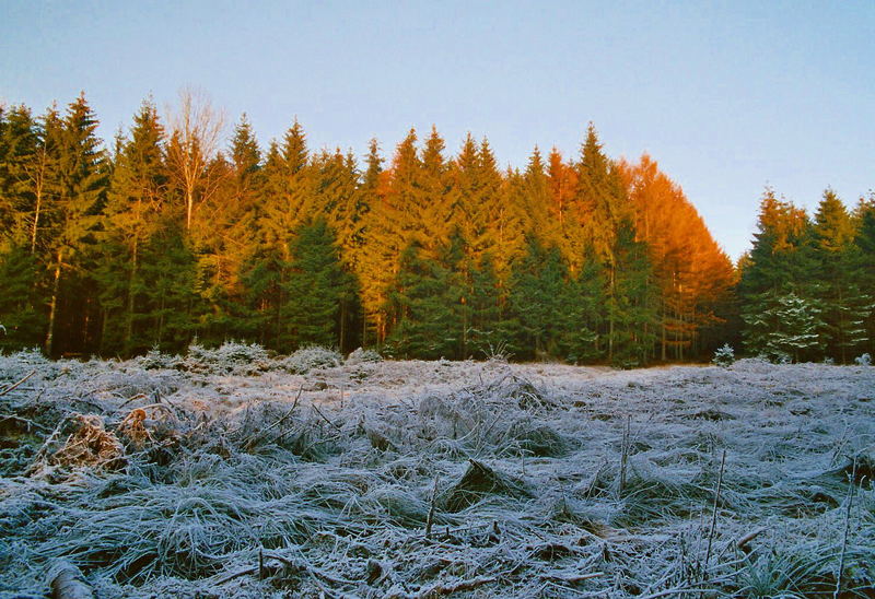 Winter ohne Sonne