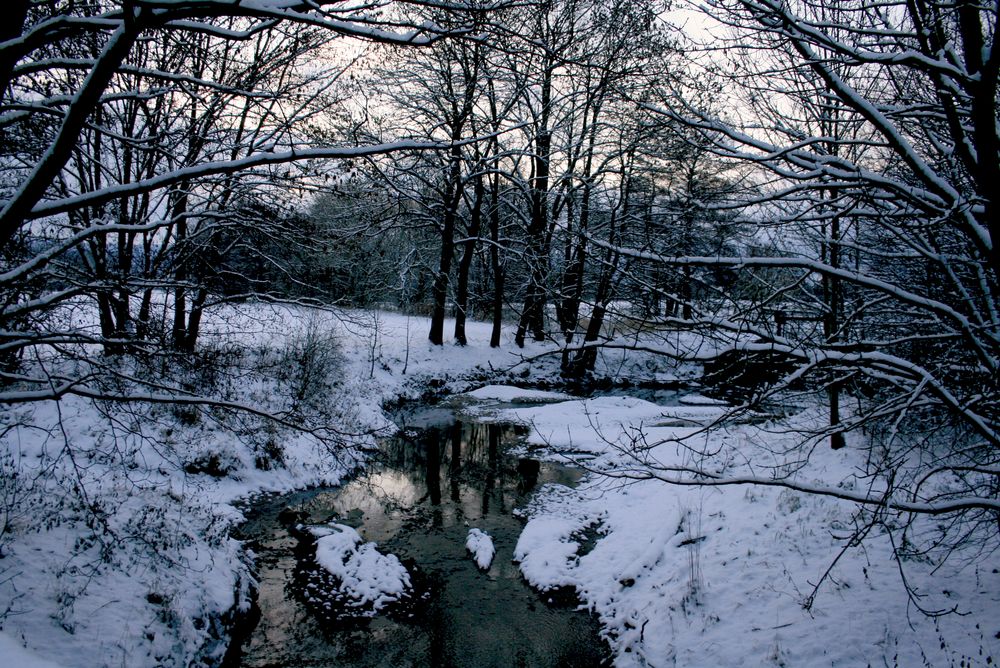 Winter ohne Sonne von Melli.Photography 