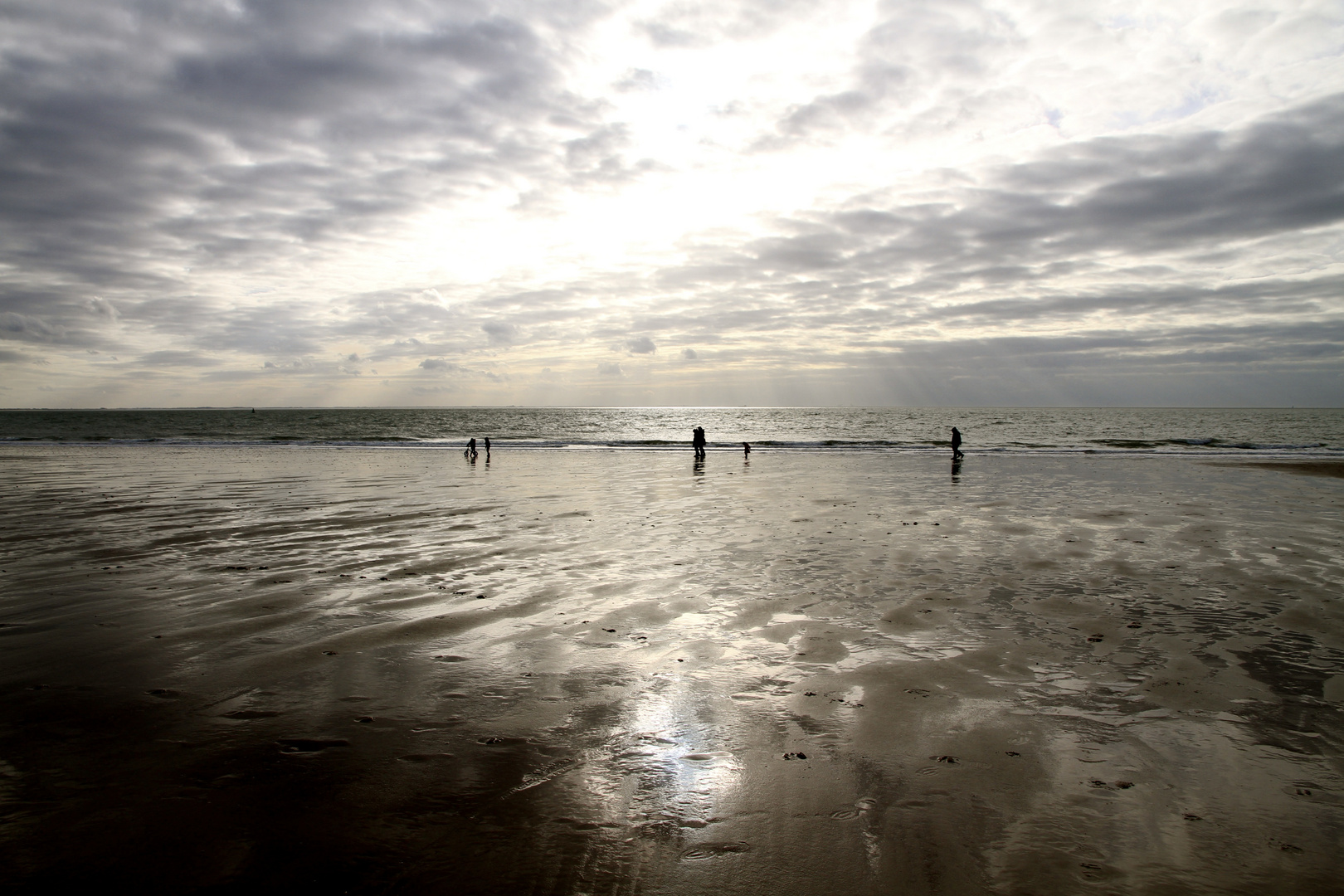 Winter on the beach - 23.02.2014