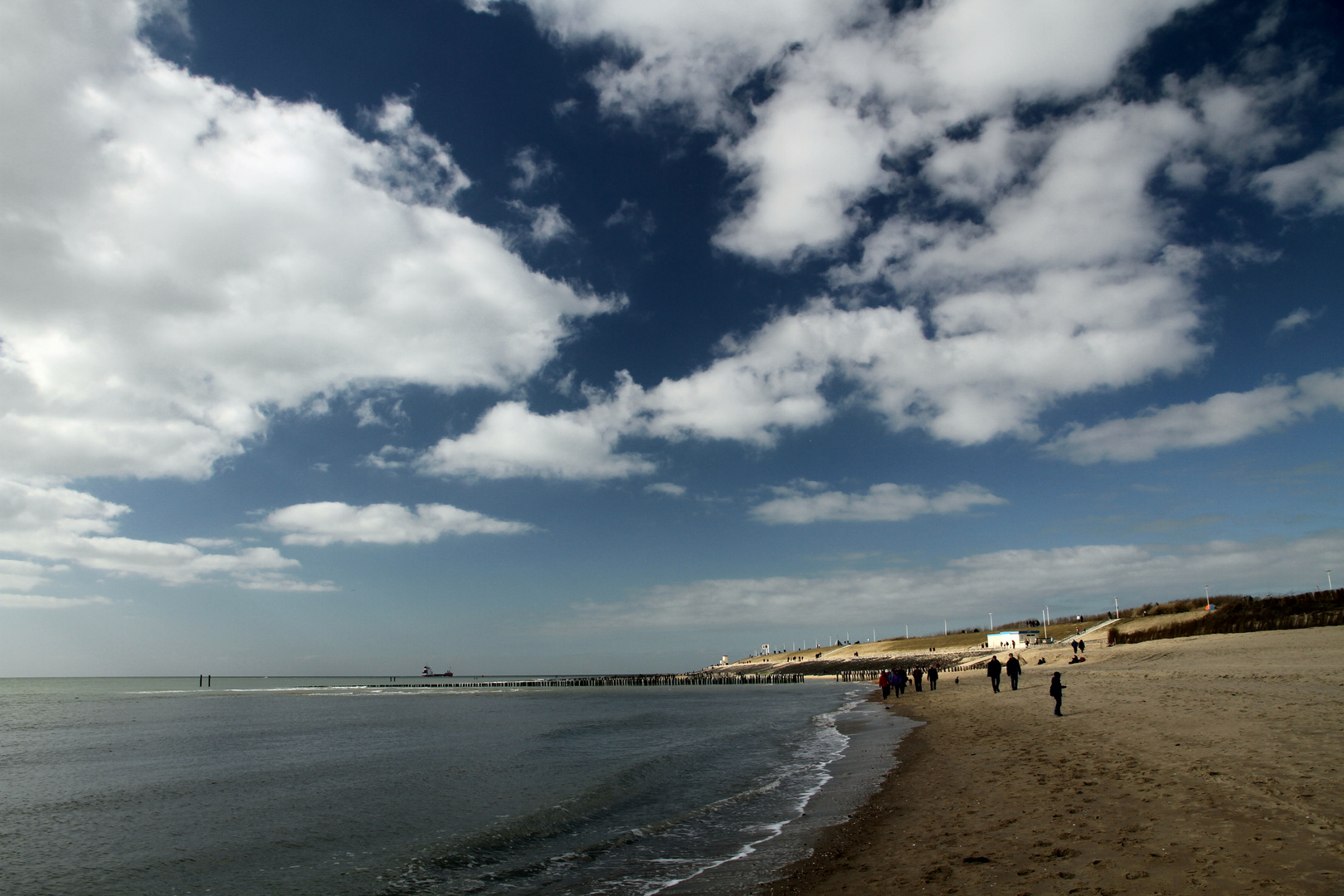 Winter on the Beach - Zoutelande