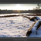 Winter on the Hatertse vennen