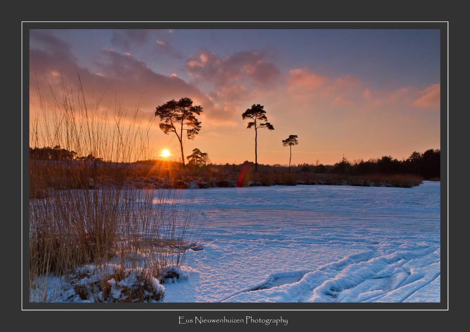 Winter on the Hatertse vennen