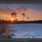 Winter on the Hatertse vennen