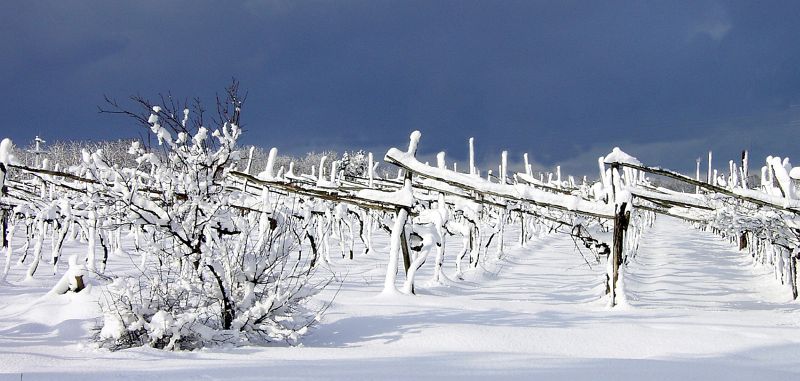 winter on the Karst