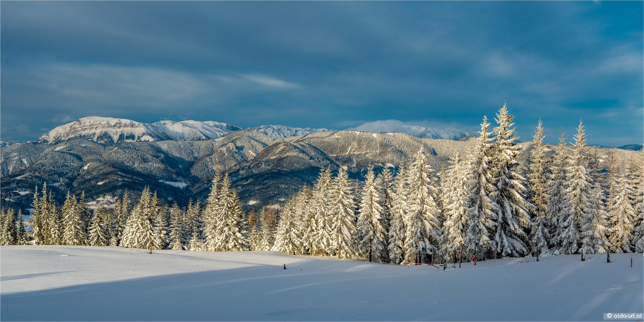 Winter Pano