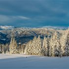 Winter Pano