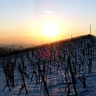 Winter-Panorama-1