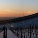 Winter-Panorama-2