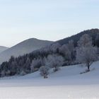 Winter Panorama