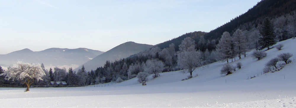 Winter Panorama