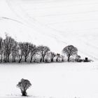 Winter Panorama