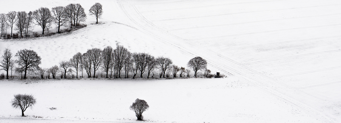 Winter Panorama