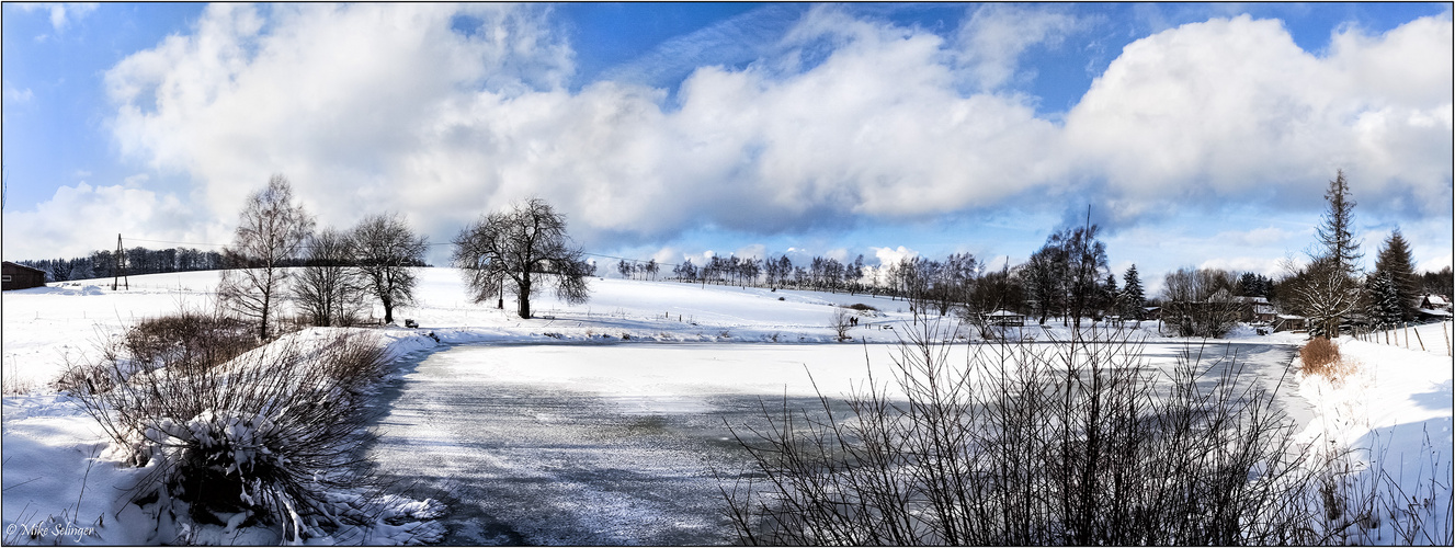 Winter Panorama