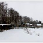 Winter Panorama