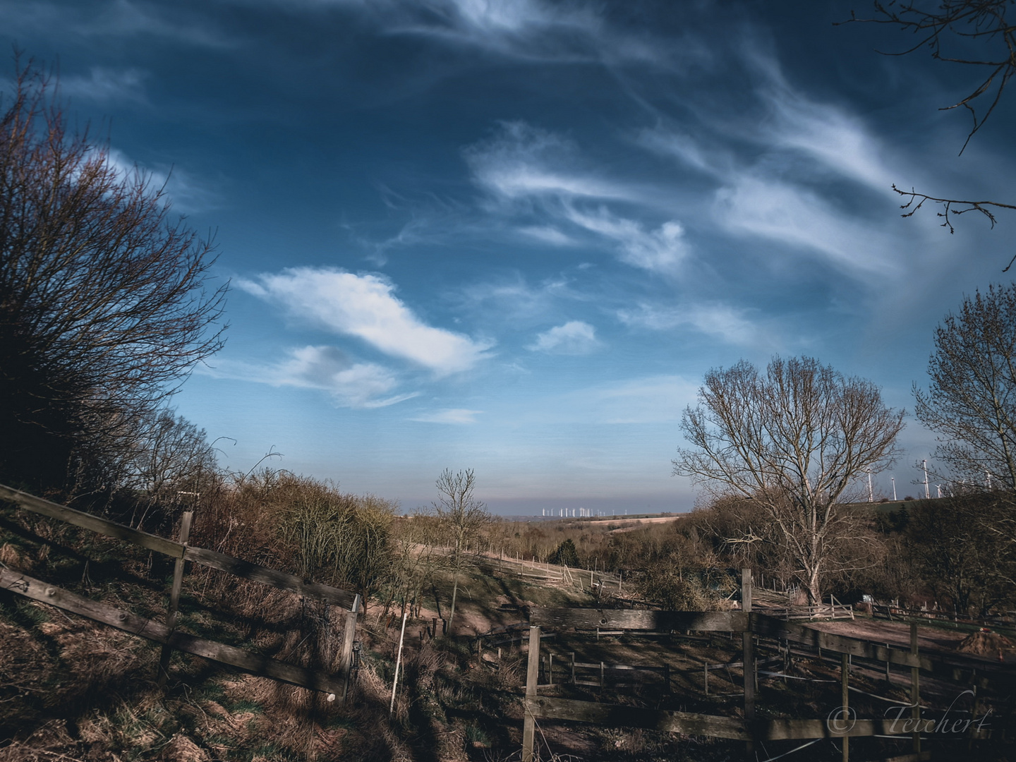 Winter Panorama 