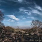 Winter Panorama 