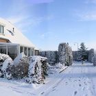 Winter panorama