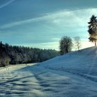 Winter Panorama - Regensberg