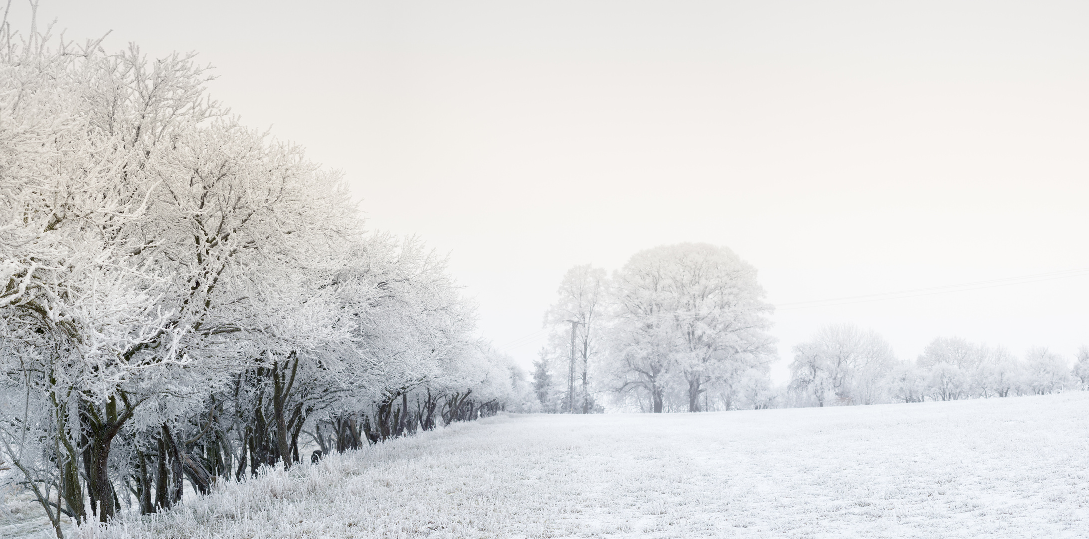 Winter Panoramic