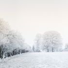 Winter Panoramic