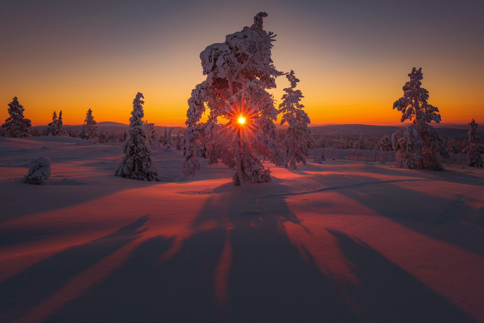 winter paradise ] Foto & Bild europe, scandinavia, finland Bilder auf