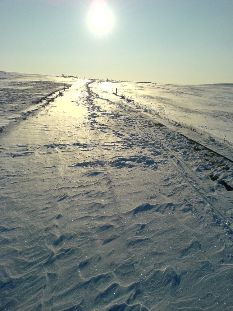 winter path von steffen naumann 
