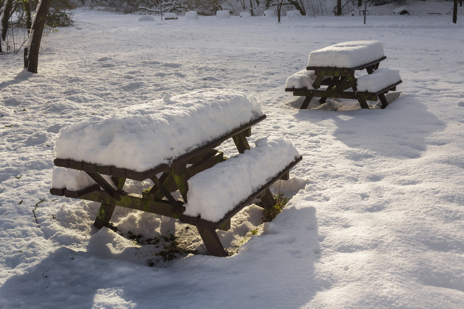 Winter Picnic