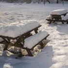 Winter Picnic