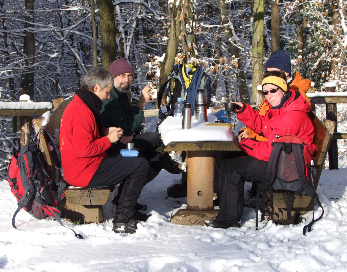 Winter - Picnic