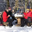 Winter - Picnic