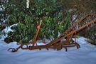 winter plow by Gert Dahl