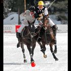 Winter Polo