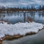 Winter Ponds