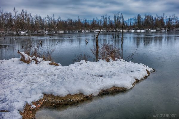 Winter Ponds